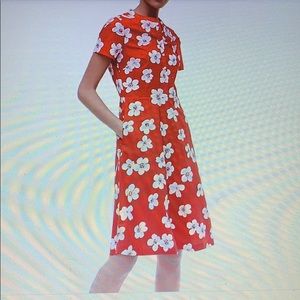 J crew factory button down shirt dress sz 12